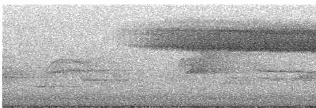 Paruline vermivore - ML619184797