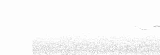 Миртовый певун x Траурная древесница (гибрид) - ML619184827