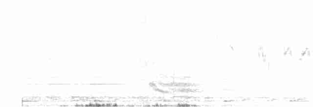 紅嘴山鴉 - ML619184939