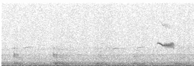 Дрізд-короткодзьоб бурий - ML619185090