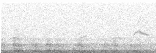 Дрізд-короткодзьоб малий - ML619185094