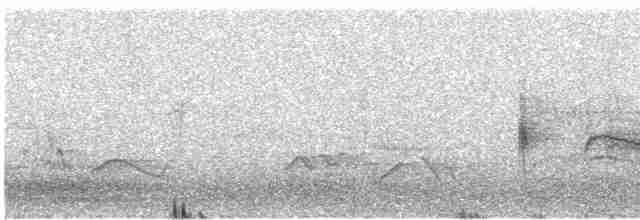 Vireo Ojiblanco - ML619185124