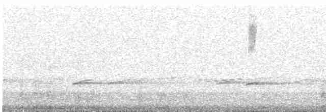Common Yellowthroat - ML619185139