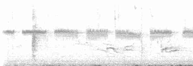 Карнатка бліда - ML619185471