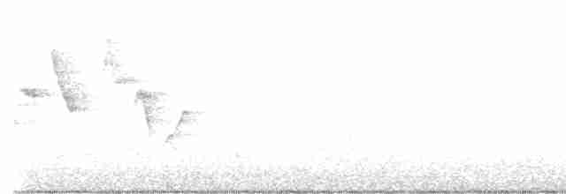 Canada Warbler - ML619185597