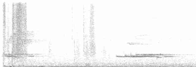 Long-tailed Manakin - ML619186235