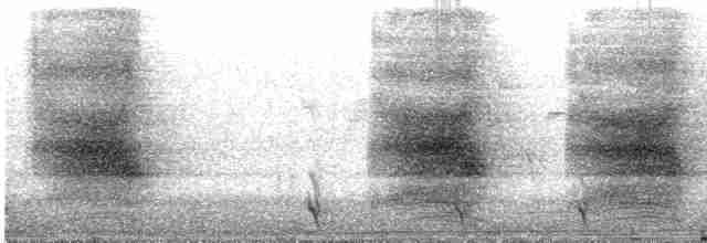 furuskrike (coronata gr.) - ML619186502