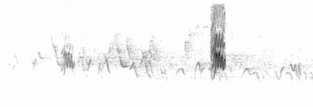 Белолобая ласточка [группа pyrrhonota] - ML619186504