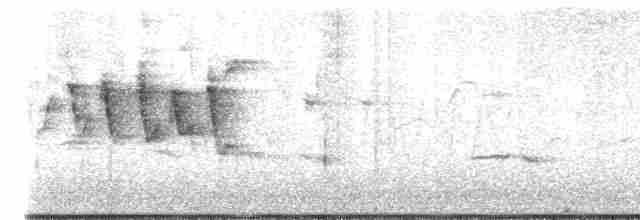 Paruline à calotte noire - ML619186722