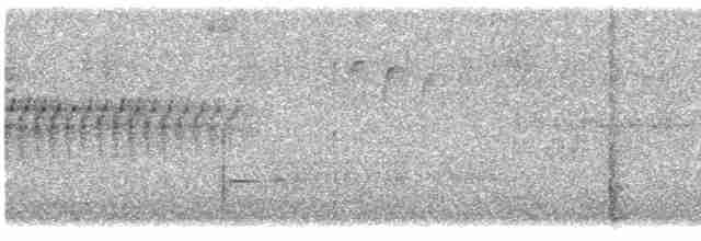 strakapoud osikový - ML619186924