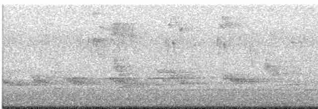 svartbrystparula - ML619187324