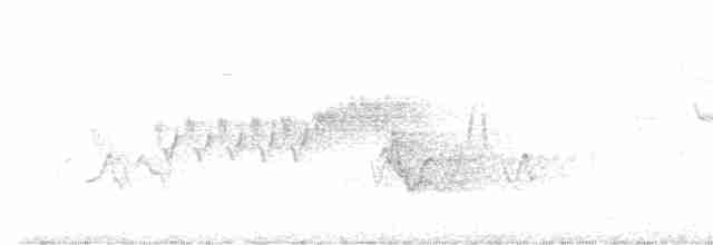 Cerulean Warbler - ML619187894