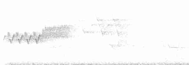 lesňáček modropláštíkový - ML619187895