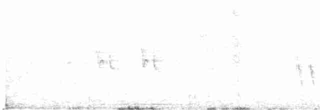 Gartengrasmücke - ML619187925