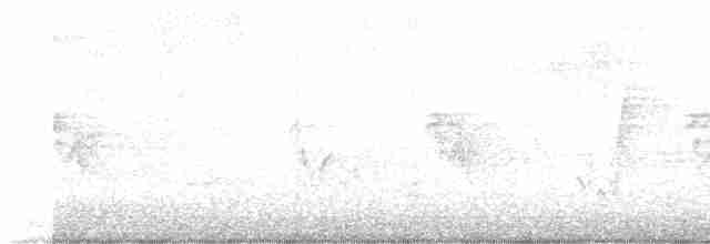 Paruline à gorge grise - ML619188075