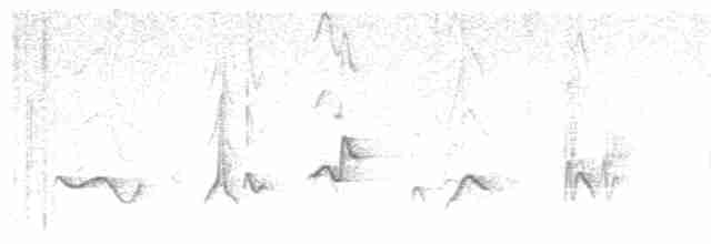 Черноголовый толстонос - ML619188233