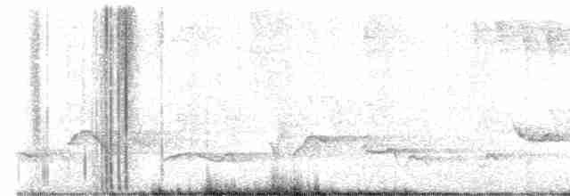 Piranga écarlate - ML619188255