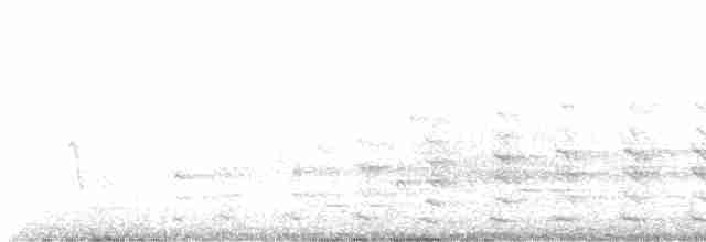 Common Gallinule - ML619188876