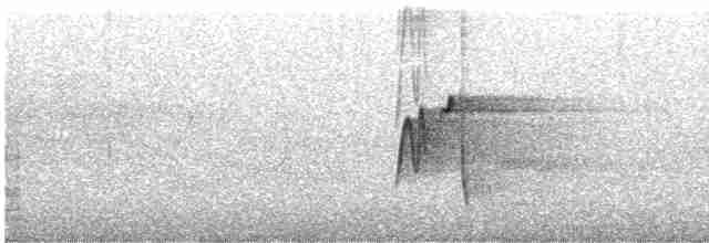 חטפית ירקרקה - ML619189367