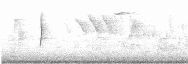 Піві-малюк сизий - ML619189387