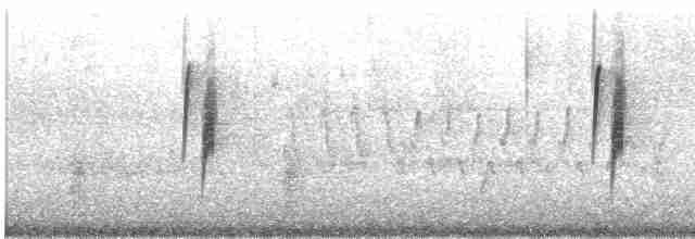Küçük Boreal Sinekkapan - ML619189510