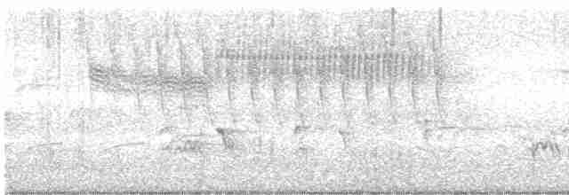 Голубокрылая червеедка - ML619189511