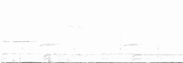 Черноспинный трёхпалый дятел - ML619189553