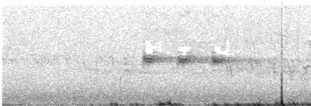 Spotted Towhee (oregonus Group) - ML619191266