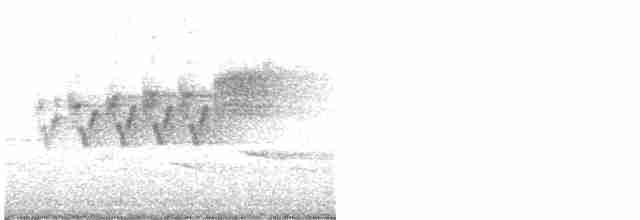 Cerulean Warbler - ML619191318