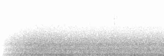Черноголовый толстонос - ML619191612
