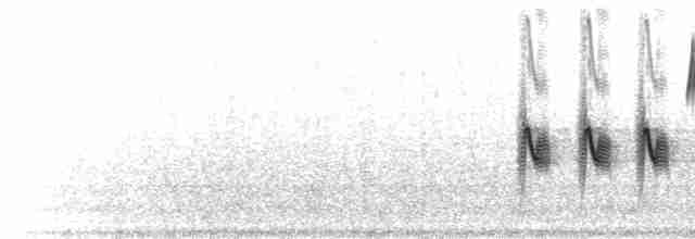 Тауї плямистий - ML619191626