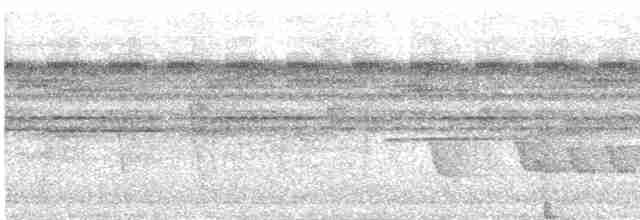 Troglodyte siffleur - ML619191828