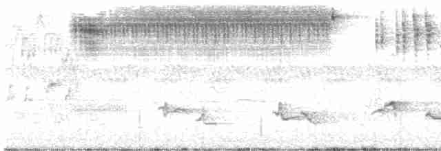 Bruant sauterelle - ML619191862