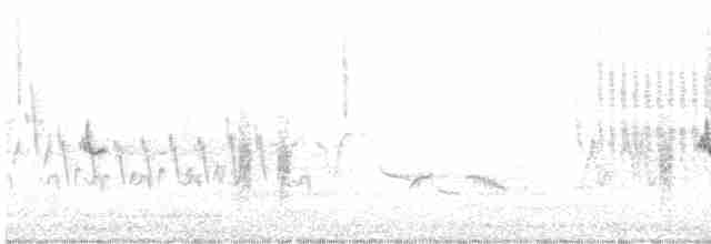 Oriole des vergers - ML619191864