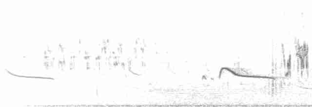 גיבתונית לבנת-גבה - ML619192177