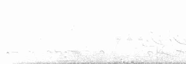 גיבתונית לבנת-גבה - ML619192198