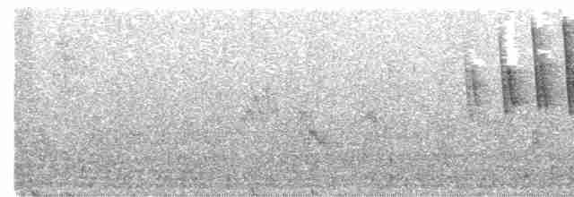 Малая вильсония (chryseola) - ML619192407