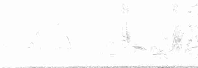 דרורן זהוב - ML619192703