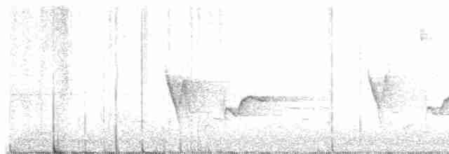 Сероголовый виреон - ML619193220