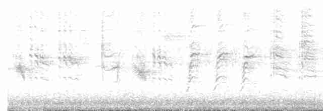 Rousserolle effarvatte (scirpaceus) - ML619194003