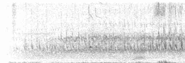 kortnebbekkasinsnipe (hendersoni) - ML619194199