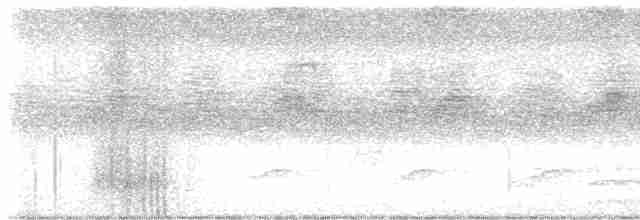 Банкивский петух (Одомашенного вида) - ML619194677