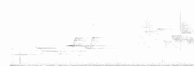 Münzevi Bülbül Ardıcı - ML619194935