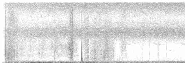 Банкивский петух (Одомашенного вида) - ML619195312