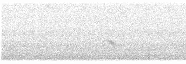 Дрізд-короткодзьоб малий - ML619195462