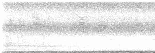 Банкивский петух (Одомашенного вида) - ML619195512