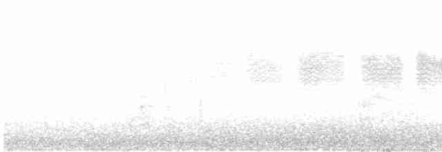 Карнатка бліда - ML619196644