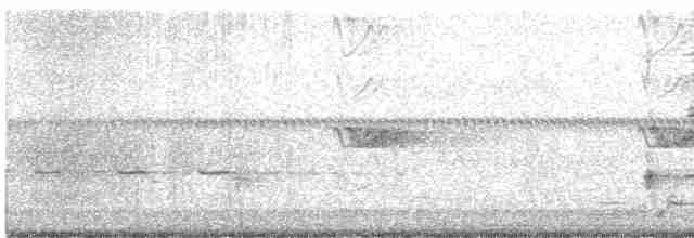 vlhovec červenokřídlý - ML619198521