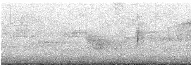 Малый мухолов - ML619200054
