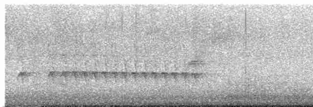 Chaparralgrasmücke - ML619200116